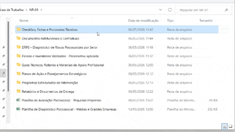 Documentos organizados por categorias